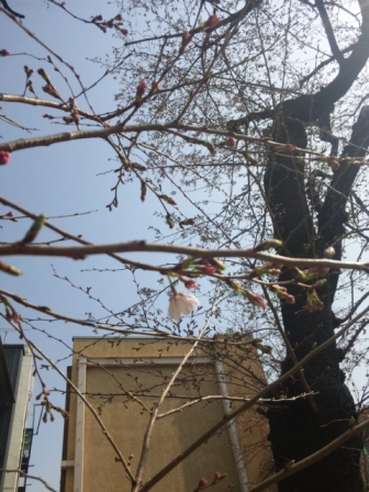 ̊JԐ錾