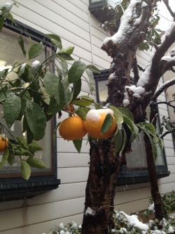 Happy@Snow@o^C